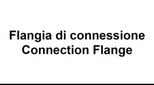 FLANGIA DI CONNESSIONE
